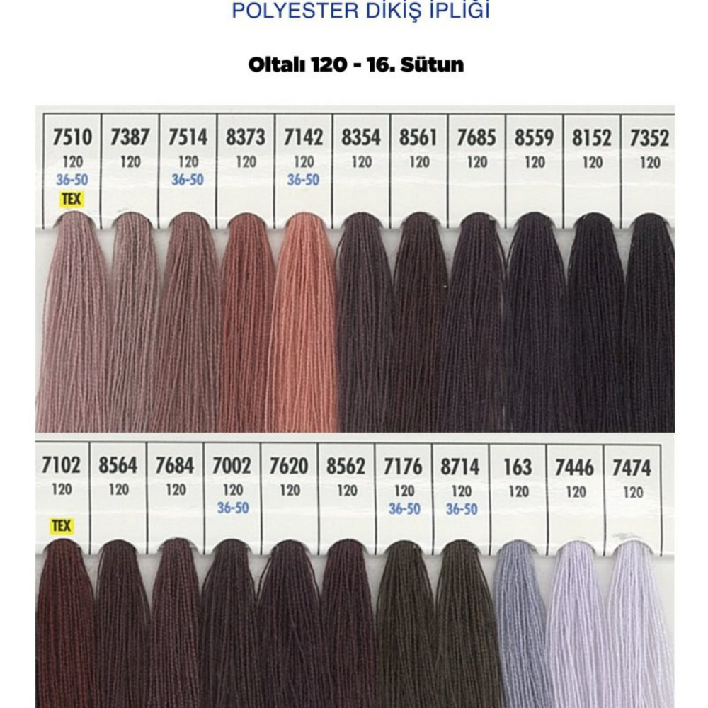 OLTALI 50 NO 16. SÜTUN