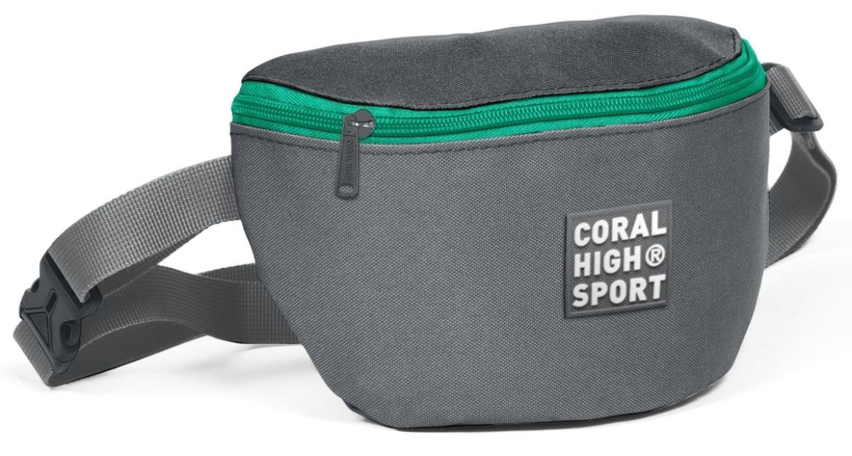 Coral High Sport İki Bölmeli Bel Çantası
