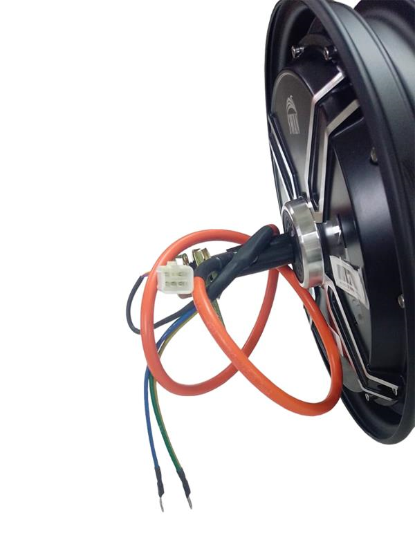ARKA JANT + MOTOR KOMPLE [60 V - 1200 WATT - 10 JANT] [KOBRA - DÜNYA - DORA] E-BIKE
