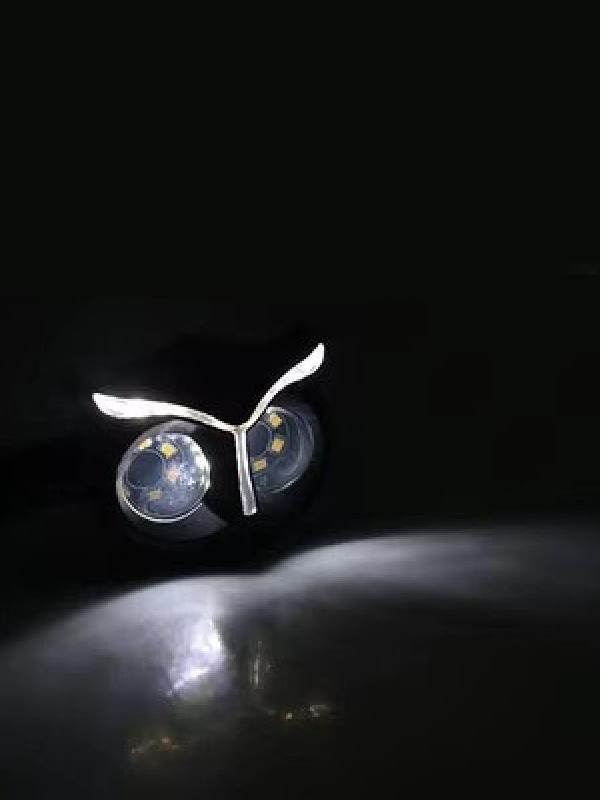 Baykuş Beyaz Parklı Led Sinyal Takım
