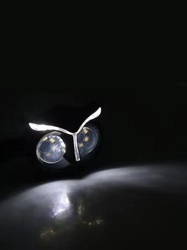 Baykuş Beyaz Parklı Led Sinyal Takım