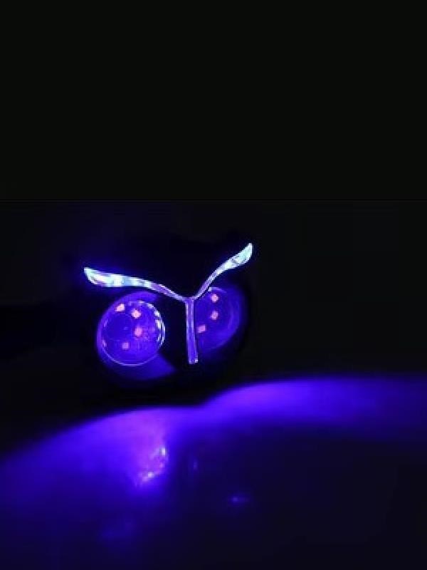 Baykuş Mavi Parklı Led Sinyal Takım