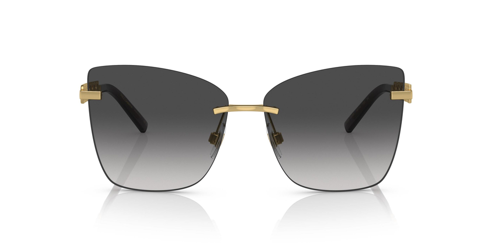 DOLCE & GABBANA 2289 02/8G 59
