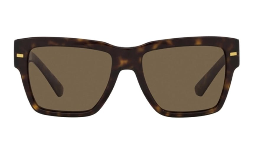 DOLCE & GABBANA 4431 502/73 55