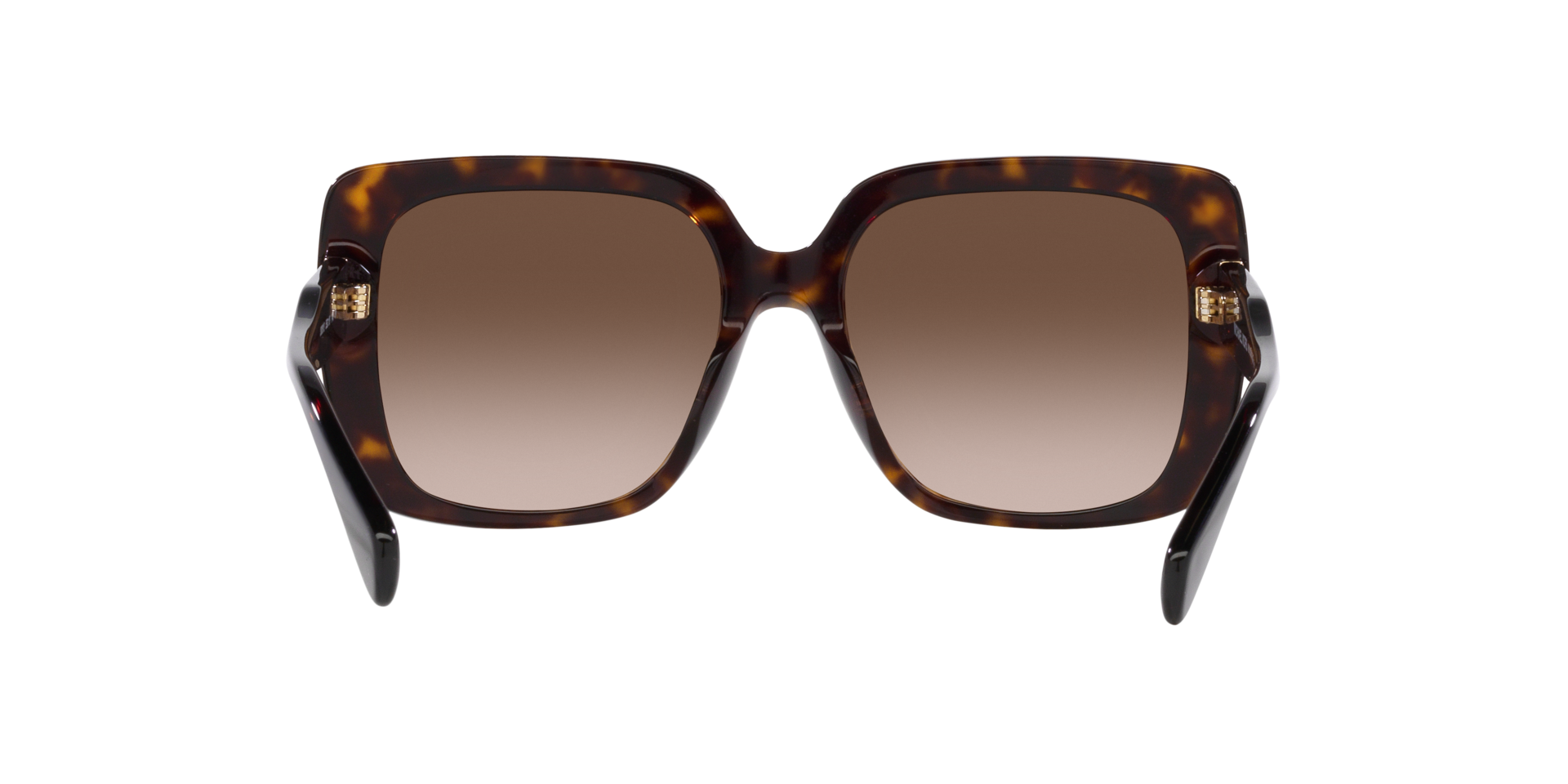 MICHAEL KORS 2183U 300613 55