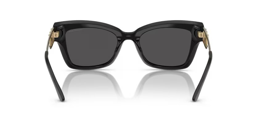 MICHAEL KORS 2237U 300587 52