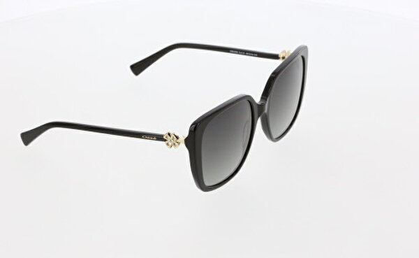 OSSE 3406 01 56