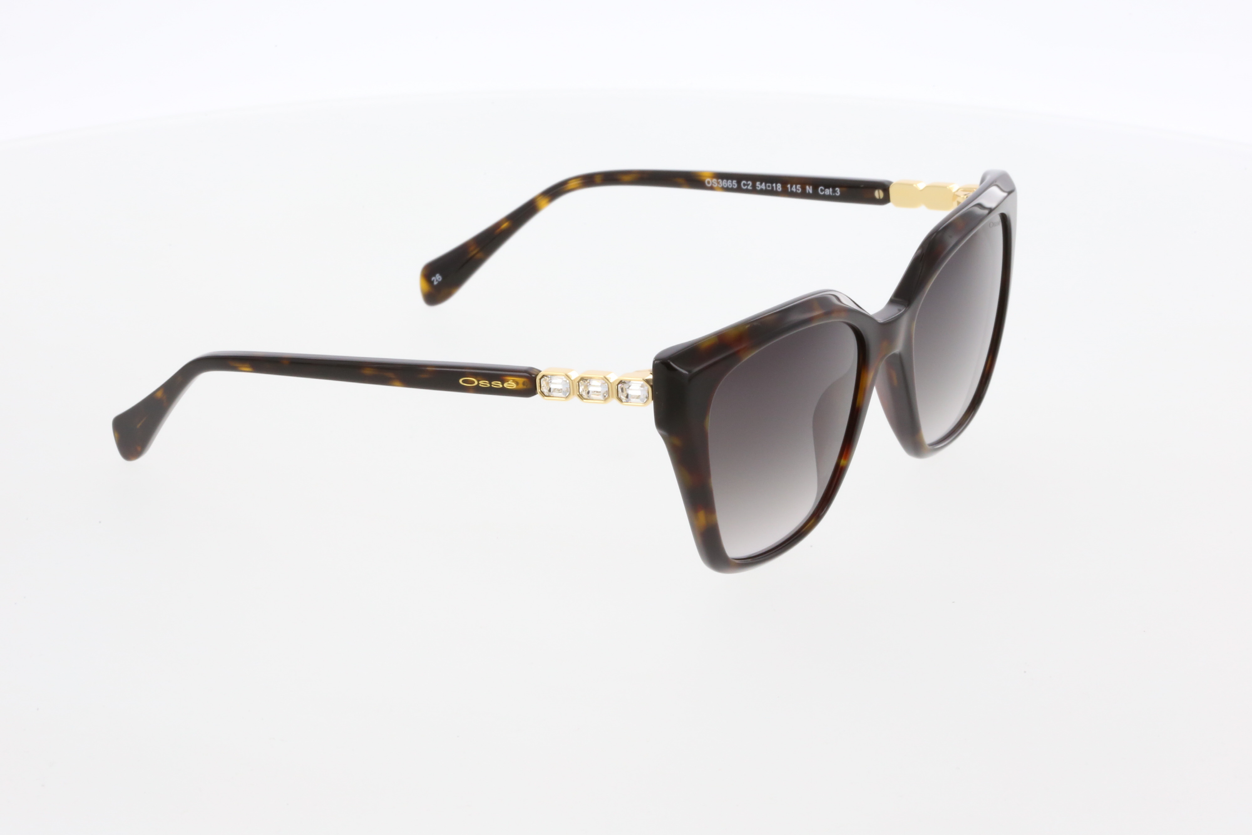 OSSE 3665 02 54