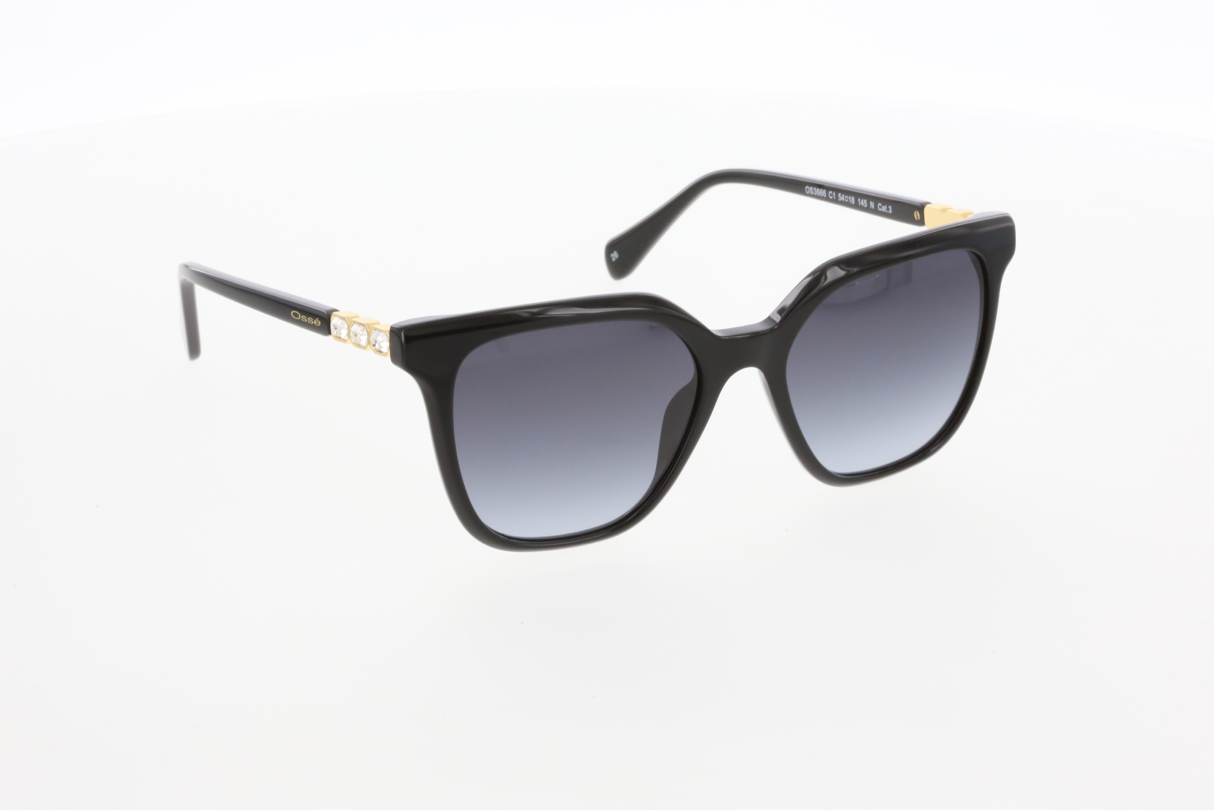 OSSE 3666 01 54