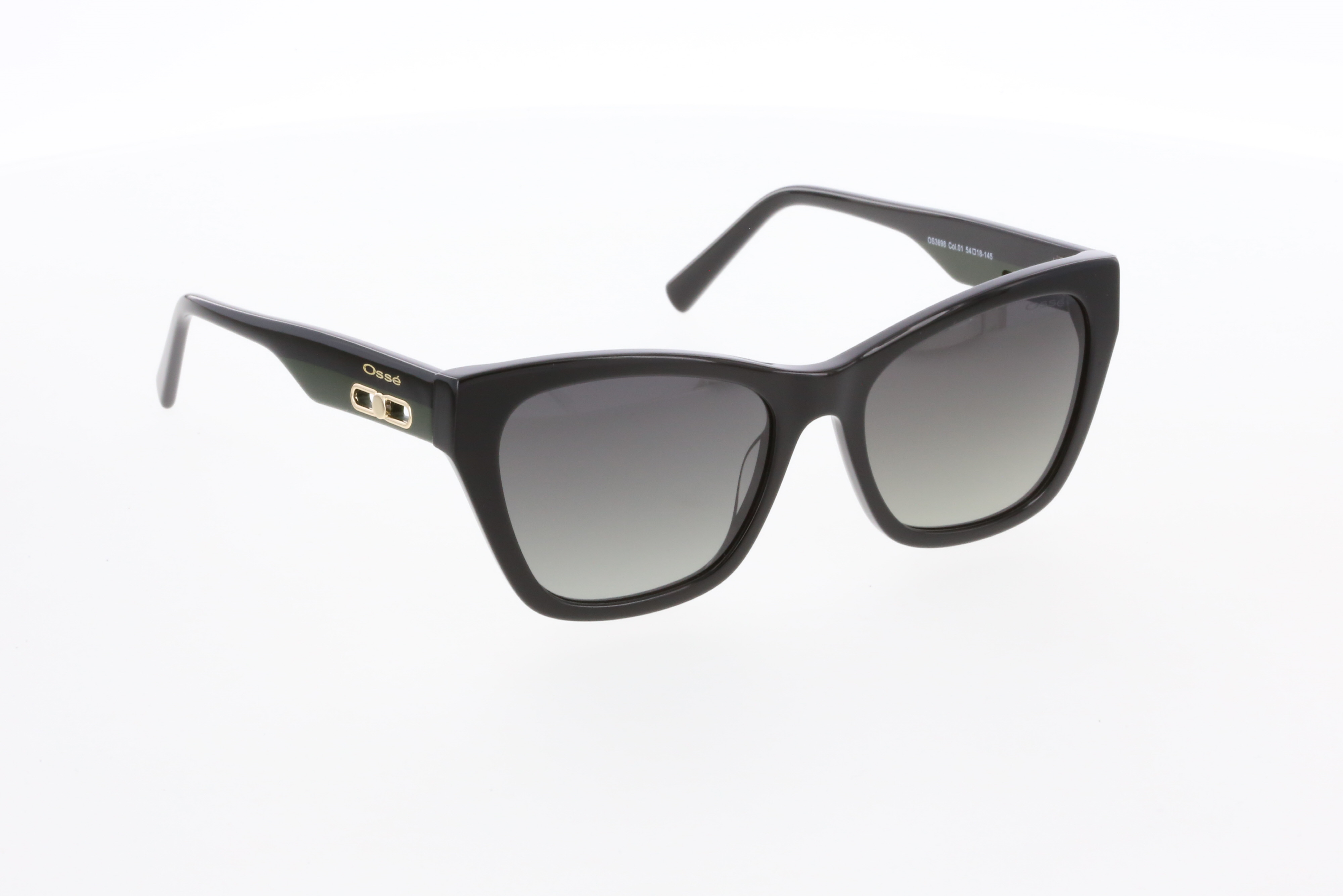 OSSE 3698 01 54