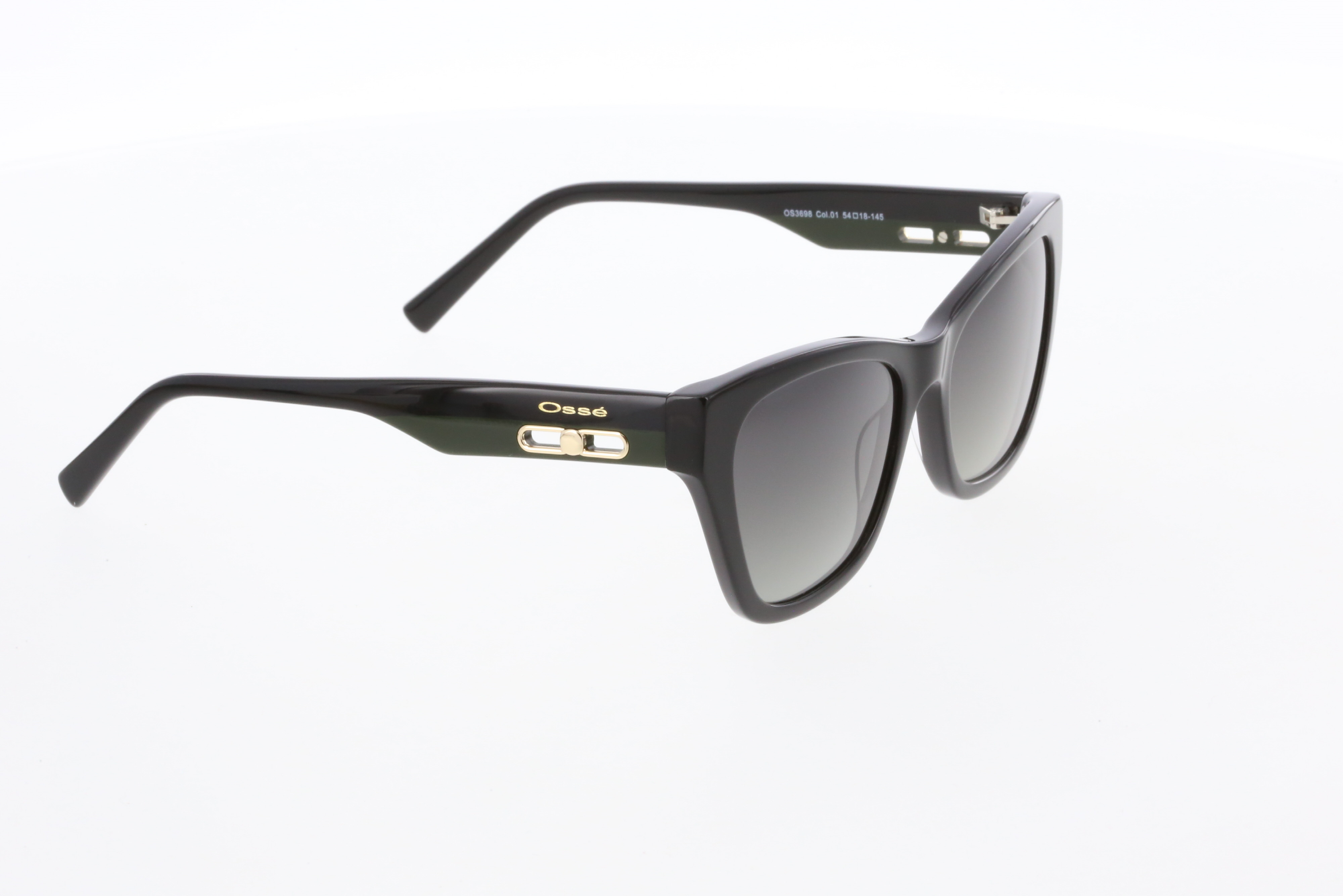 OSSE 3698 01 54