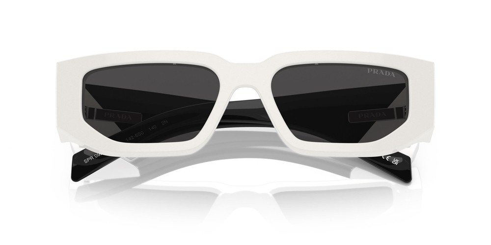PRADA 09ZS 1425S0 54
