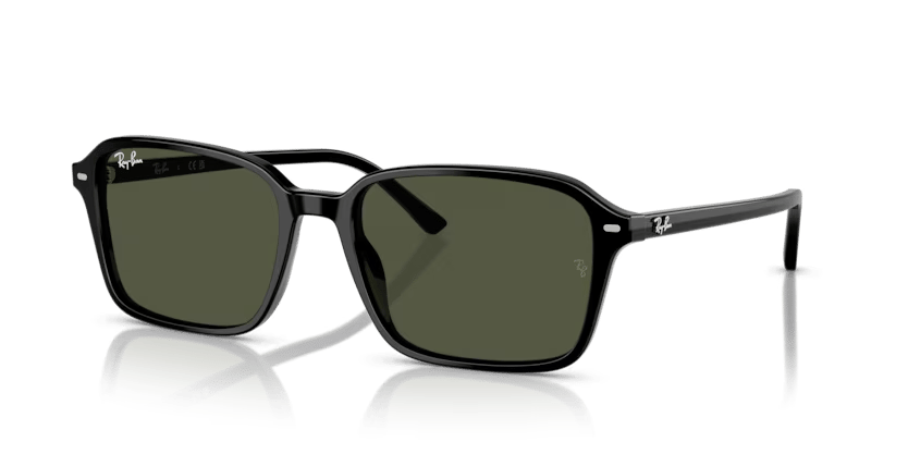 RAY-BAN 2231 901/31 56