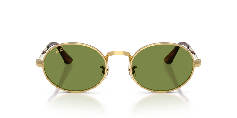 RAY-BAN 3931 001/4E 54