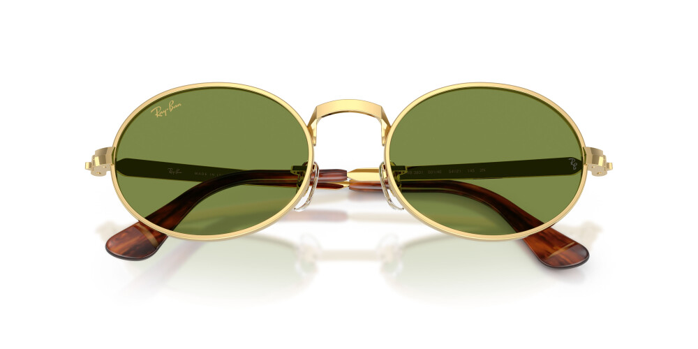 RAY-BAN 3931 001/4E 54