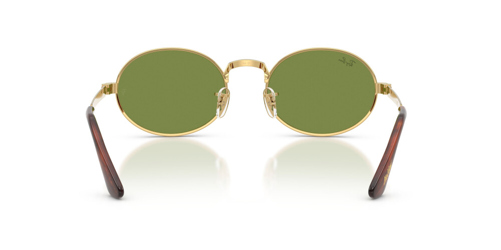 RAY-BAN 3931 001/4E 54