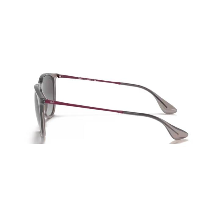 RAY-BAN 4171 65138G 54