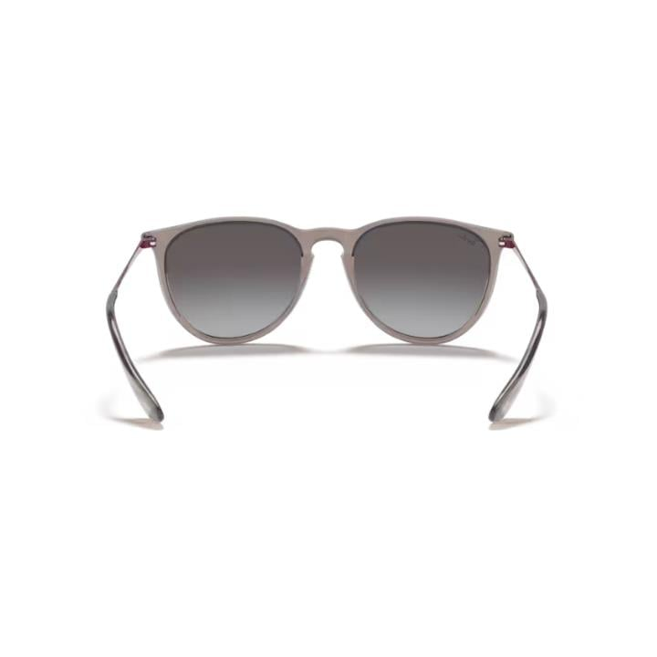 RAY-BAN 4171 65138G 54