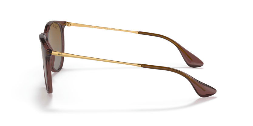 RAY-BAN 4171 6593T5 54