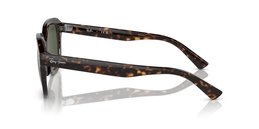 RAY-BAN 4398 902/31 51