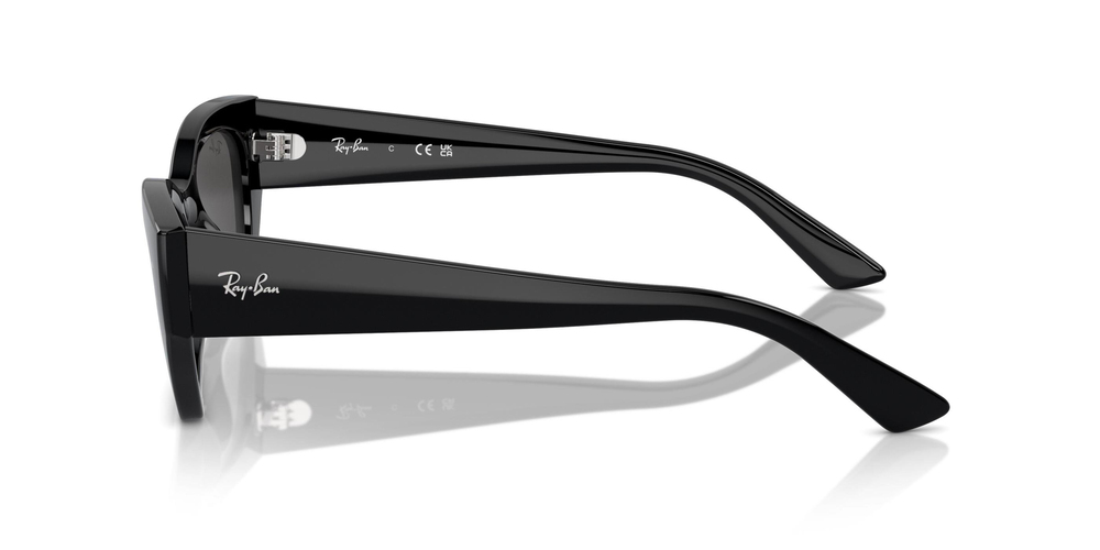 RAY-BAN 4430 667787 49