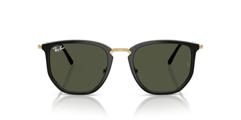RAY-BAN 4451 630631 50