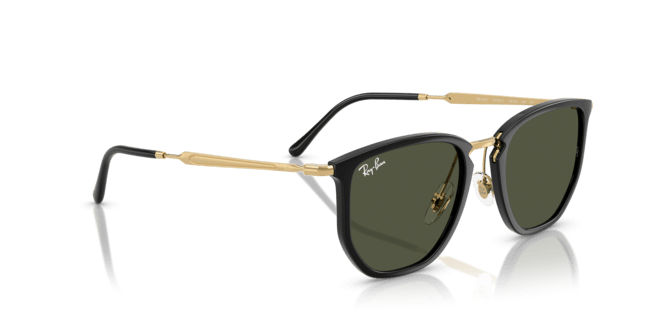 RAY-BAN 4451 630631 50