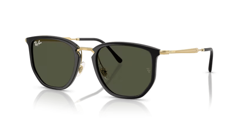 RAY-BAN 4451 630631 50