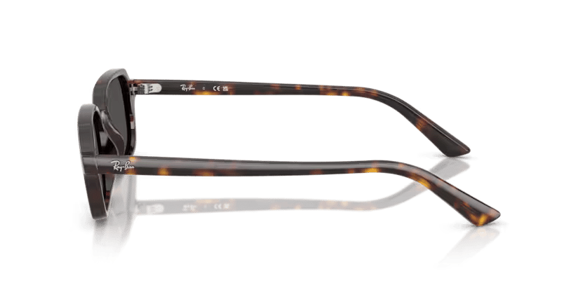 RAY-BAN 4455 135987 52