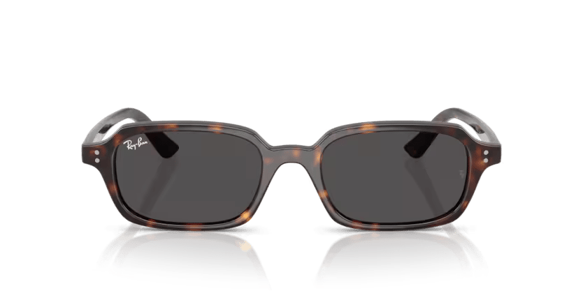 RAY-BAN 4455 135987 52