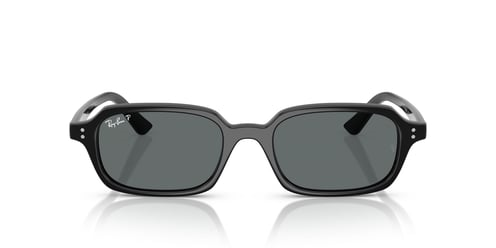 RAY-BAN 4455 667781 52