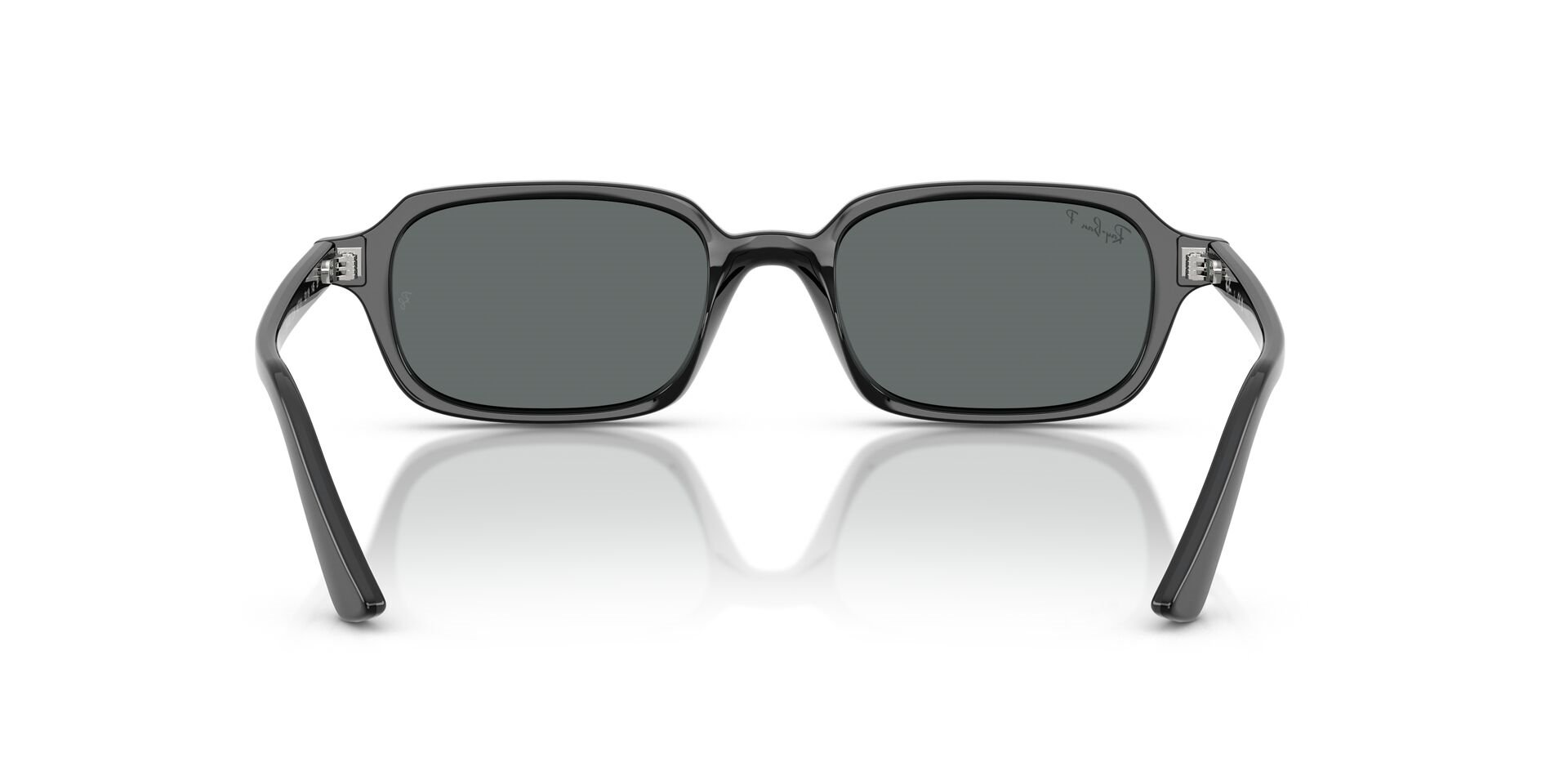 RAY-BAN 4455 667781 52