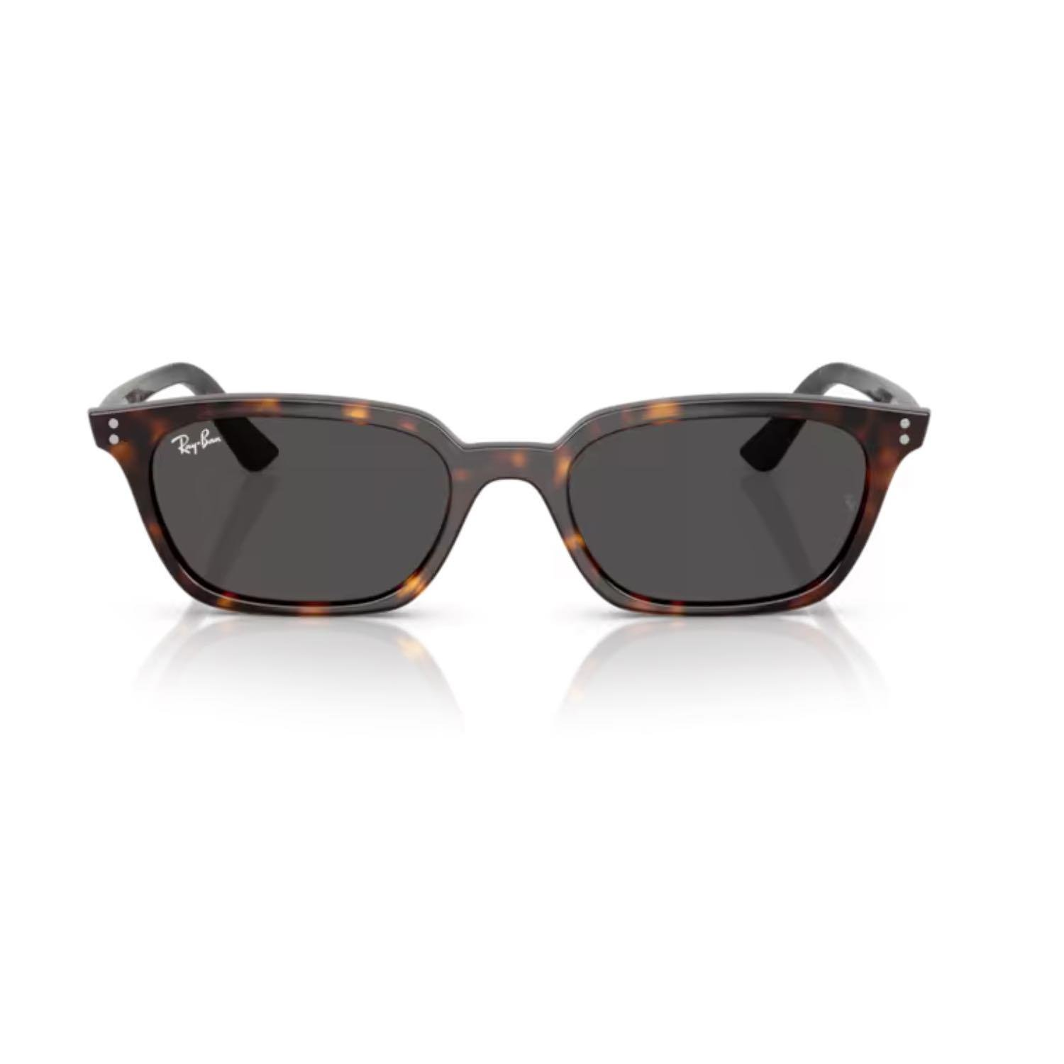 RAY-BAN 4456 135987 50