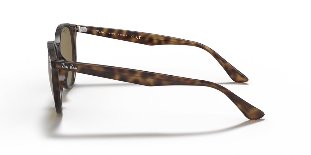 RAYBAN 4305 710/73 53