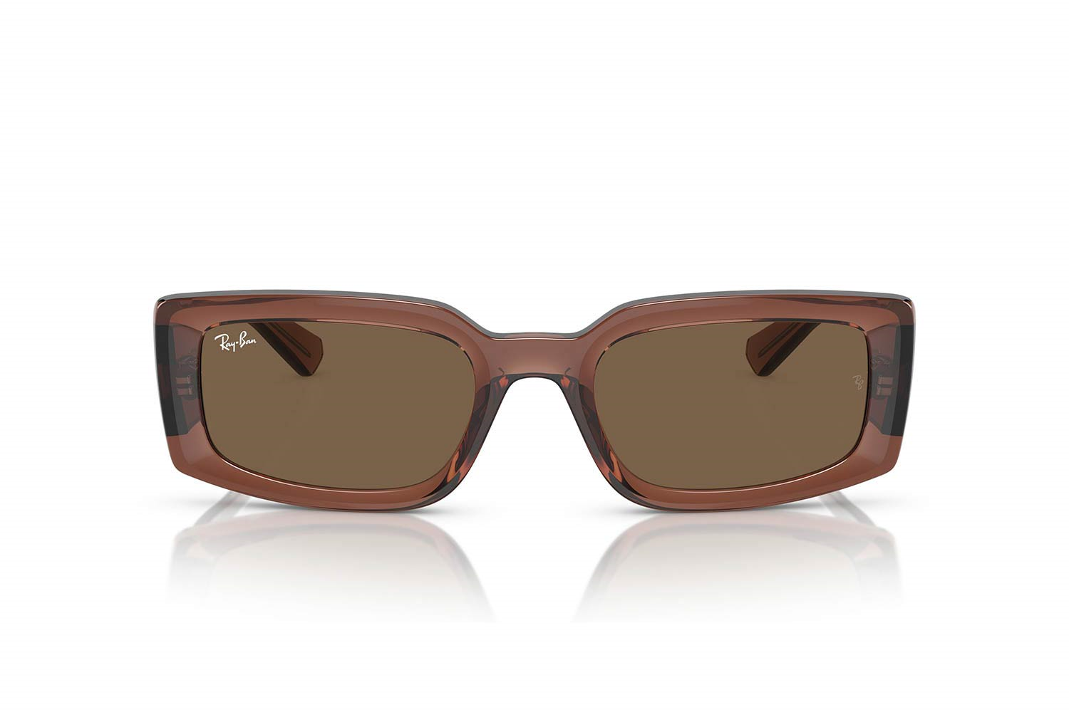 RAYBAN 4395 667873 54