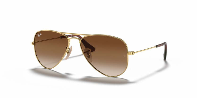 RAYBAN 9506S 223/13 50