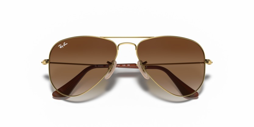 RAYBAN 9506S 223/13 50