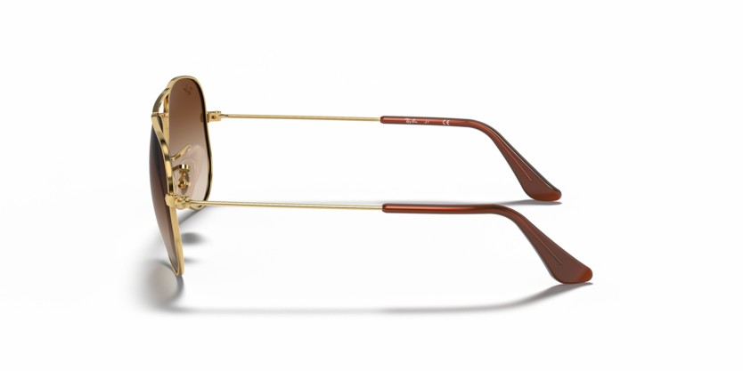 RAYBAN 9506S 223/13 50