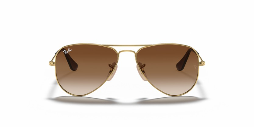 RAYBAN 9506S 223/13 50