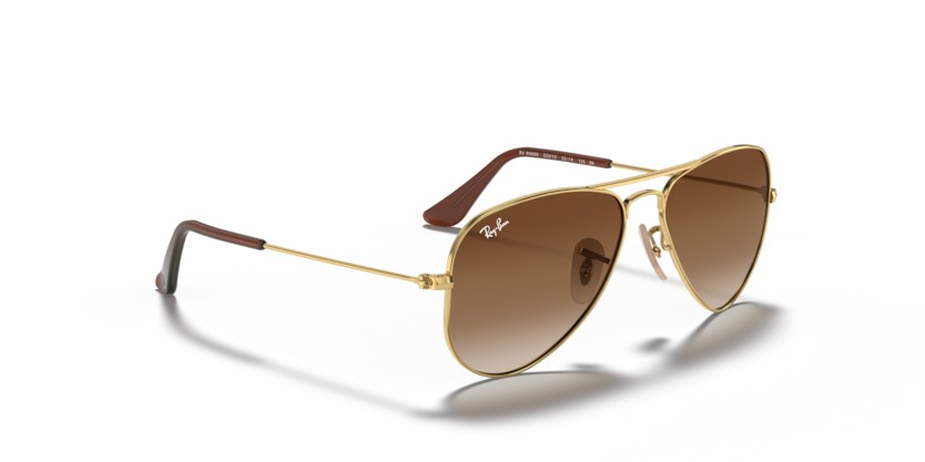 RAYBAN 9506S 223/13 50