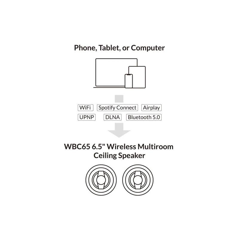 Arylic WBC65 6.5
