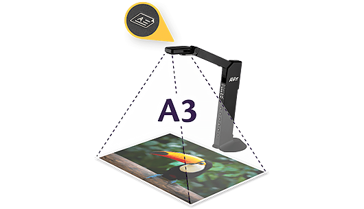 Aver M11-8MV Mekanik Kol USB Doküman Kamerası