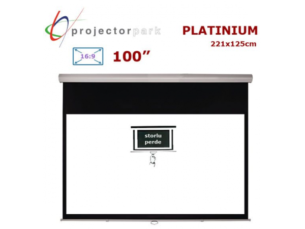 PROJECTORPARK Platinium 221 x 125 cm 16:9 100