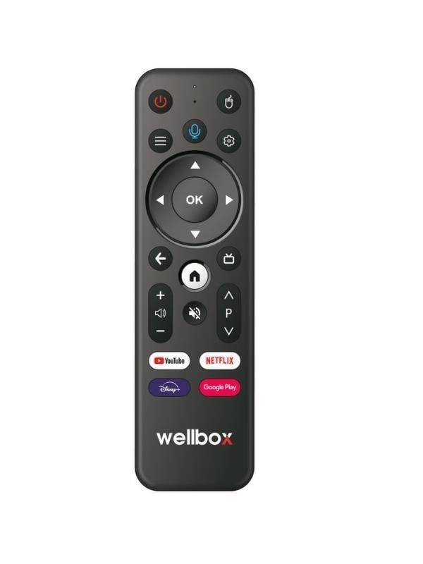 Wellbox Max3 Android Tv Box Tvbox Iptv Media Player 2gb Ram 16GB Hafıza Android 12