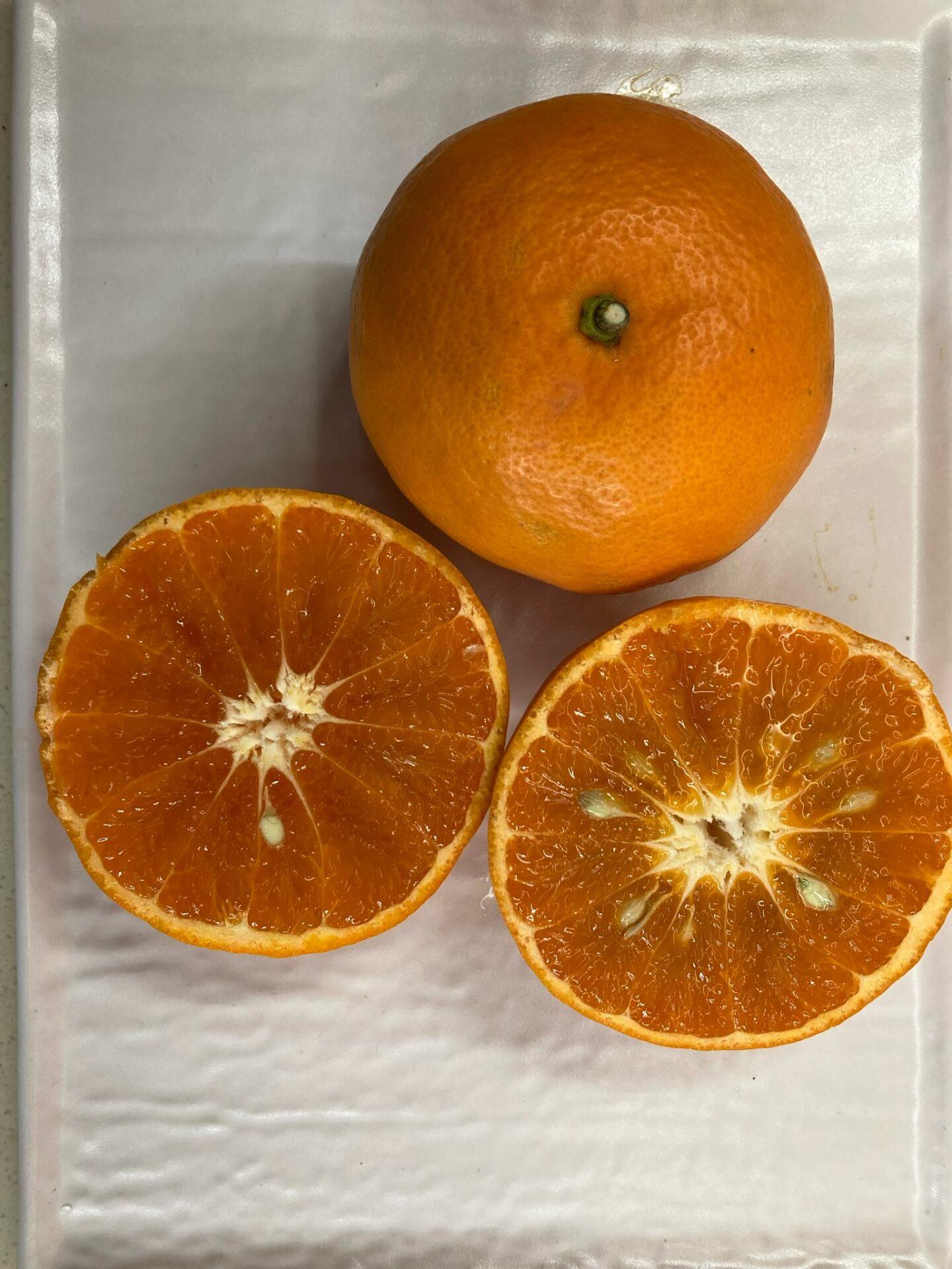KARA MANDALİNA 1 KG