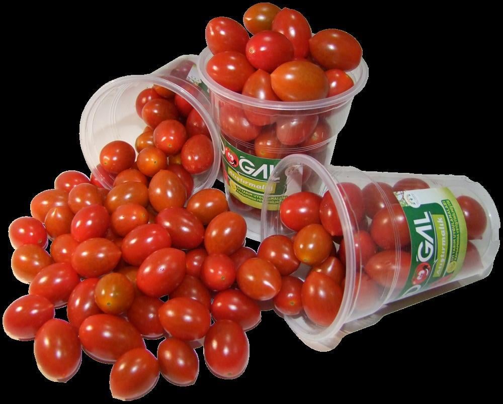 Şeker Domates 3 KG