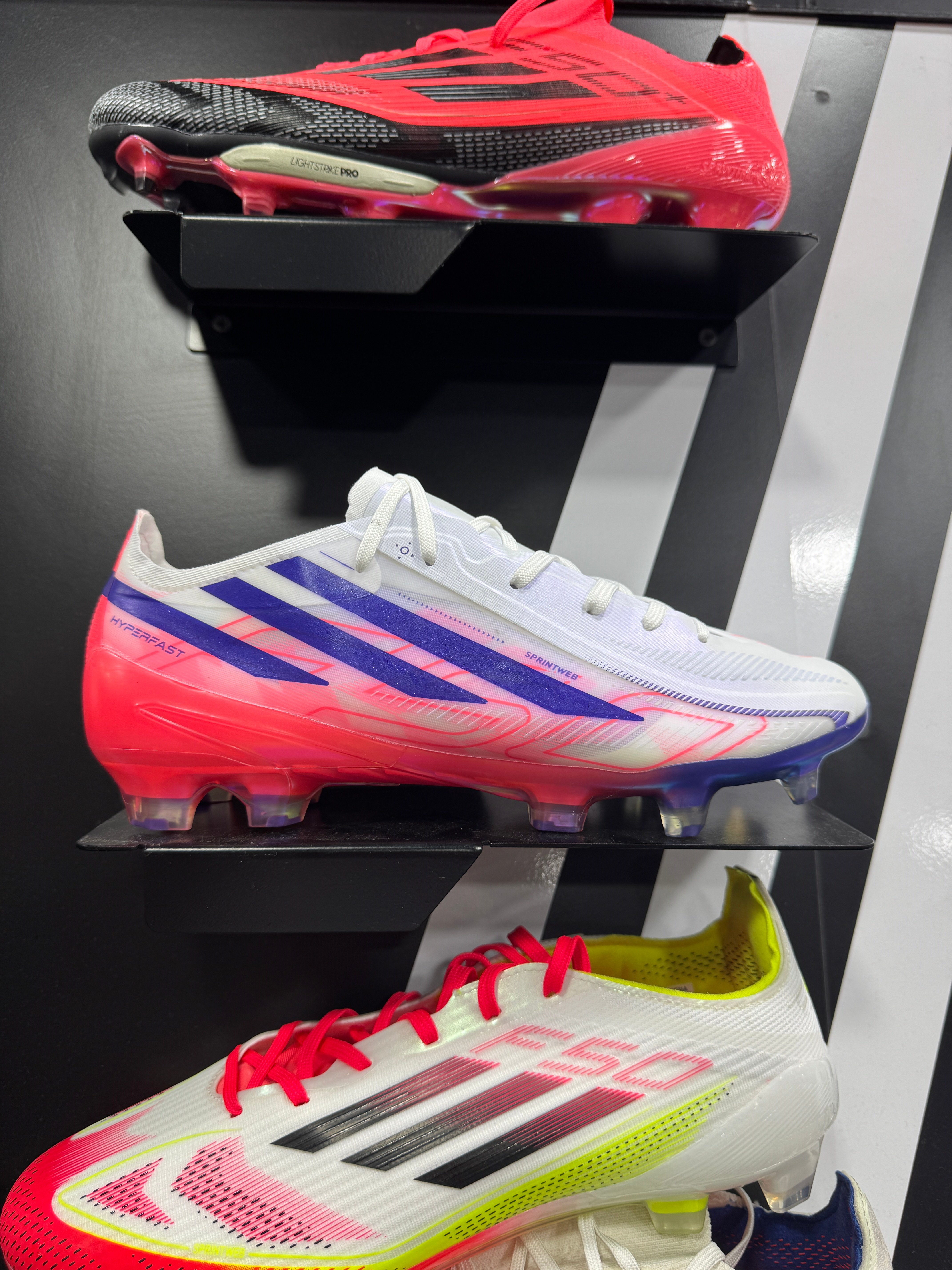 F50 ELİT 