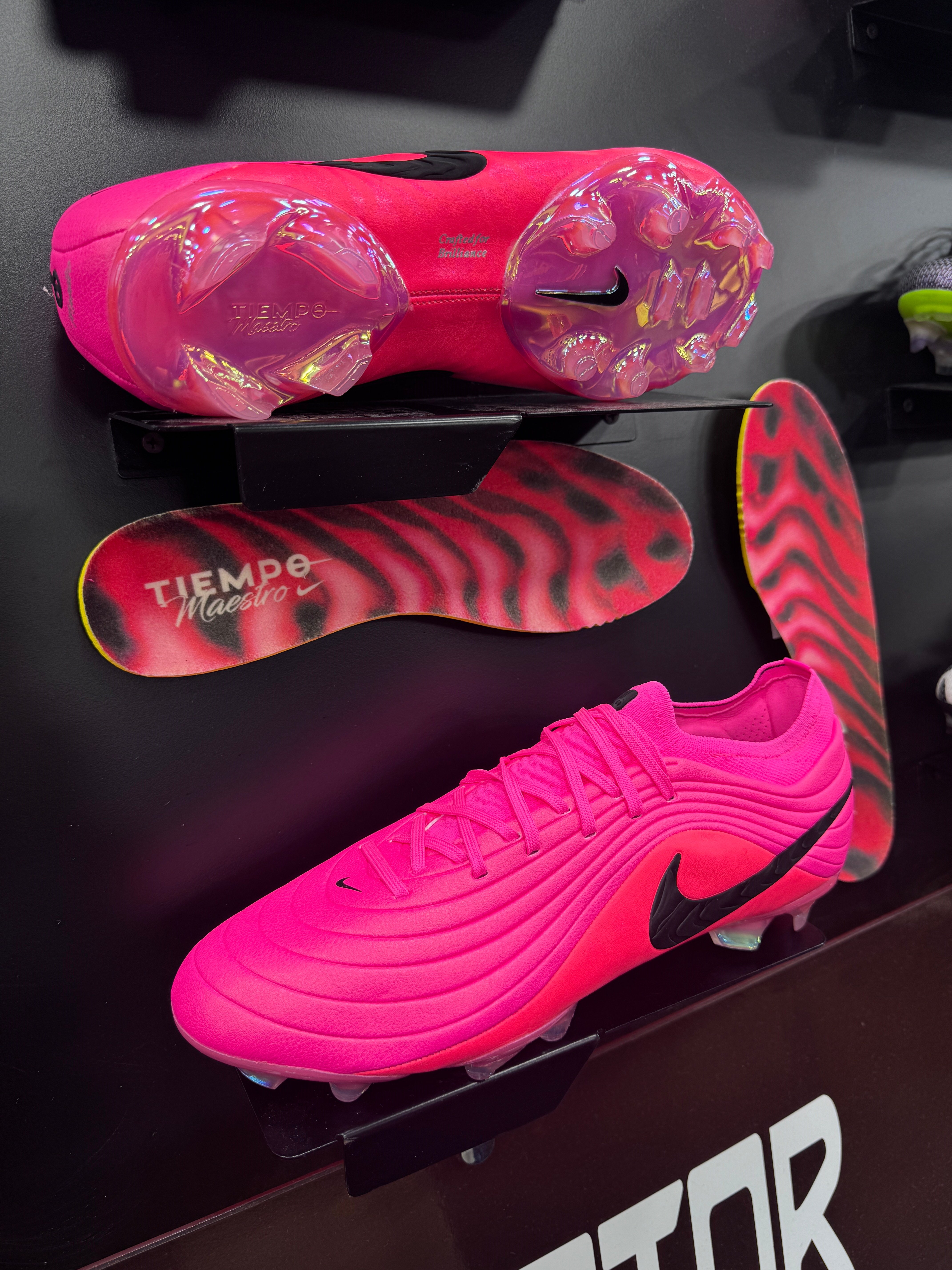 Tiempo Maestro Elite Fg