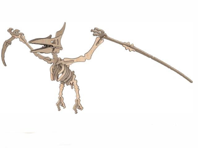 Orta Seviye Dinazorlar Pterodaktil Dinazor Maketi | Orta Seviye3D Sergi