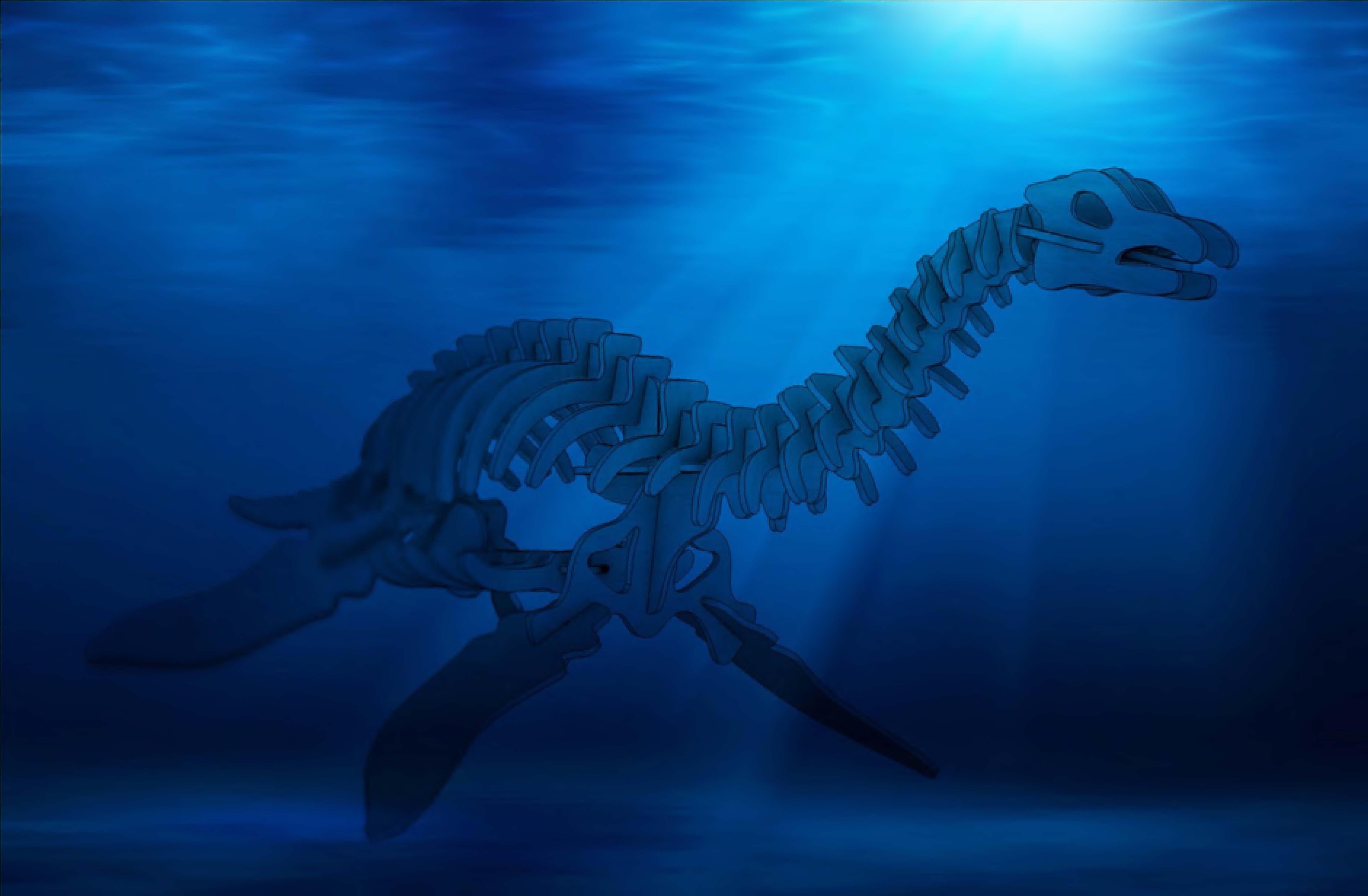 Orta Seviye DinazorlarPlesiosaurus Dinazor Maketi | Orta Seviye3D Sergi